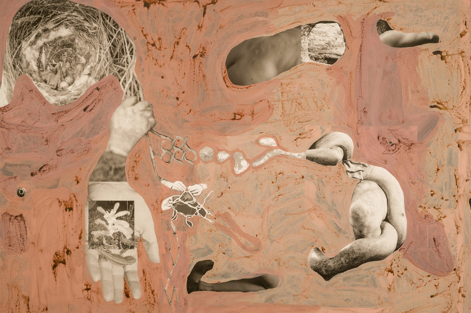 圖十二、《地勢 (關(guān)于時間，關(guān)于身體)》 (細(xì)節(jié)圖)，O?zlem Alt?n，2019